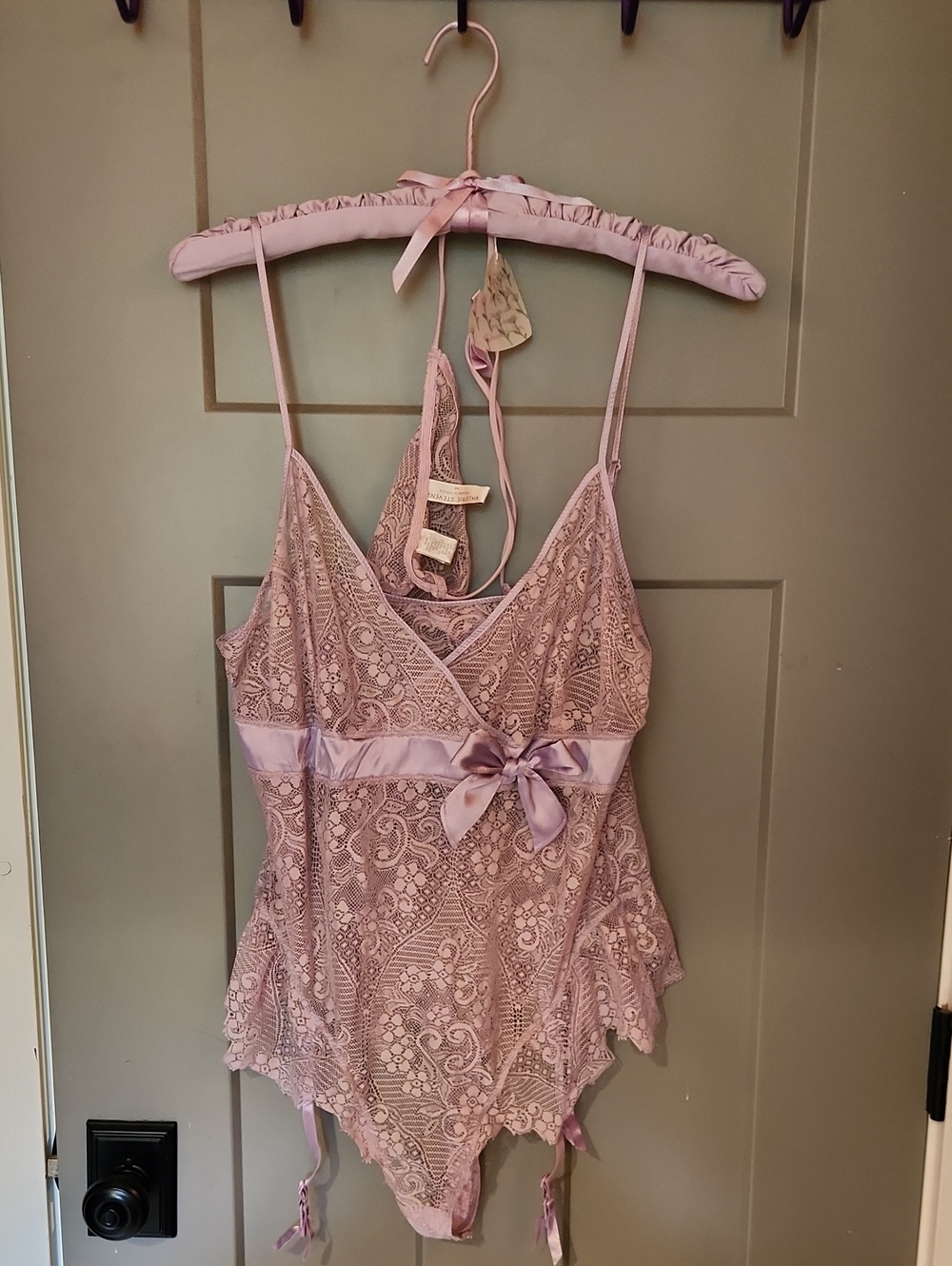 Valerie Stevens Lace Chemise Bodysuit in Dusty Rose L